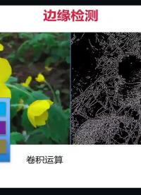 #硬聲創(chuàng)作季  4-9 邊緣檢測1
