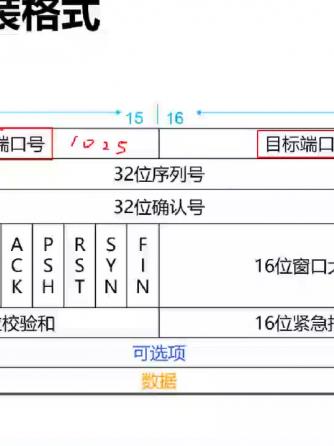 sdn,网络系统,数据包