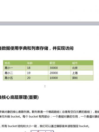 python,编程语言,数据存储,数据存储器,数据存储技术,数据存储方式