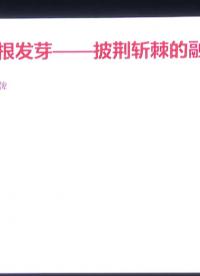 胡振波 - “RISC-V中國芯”生根發芽 - 第一屆 RISC-V 中國峰會 - 20210622-2
