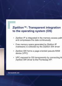 Ziptilion™ Boosting RISC-V with An Efficient 2