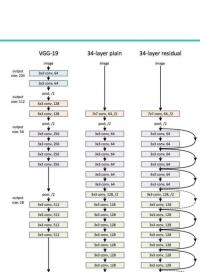 20-2-遷移學習策略 #硬聲新人計劃 #人工智能 #計算機視覺 