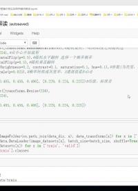 19-5-Batch數(shù)據(jù)制作 #硬聲新人計劃 #人工智能 #計算機視覺 