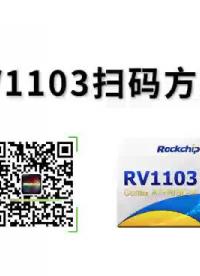 RV1103掃碼方案#尋找100+國產半導體廠家 #瑞芯微開發(fā)者大會 