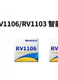 RV1106/RV1103智能门锁方案#瑞芯微开发者大会 