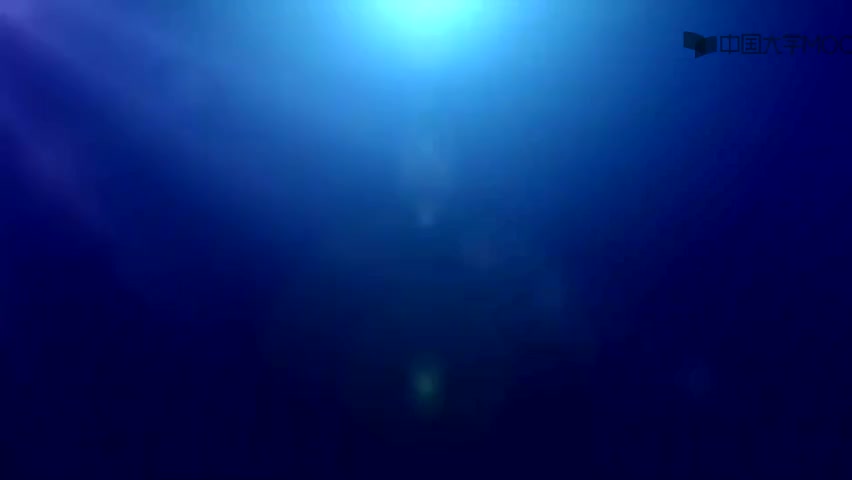 #硬聲創作季  14.Z1.14-信號的平移(Av26677956,P14)