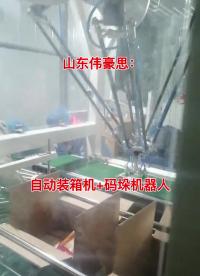 河北袋料自动装箱码垛线，休闲食品机械手装箱机
