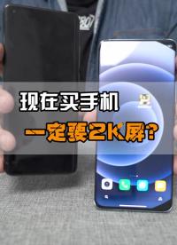 現在買手機一定要追求2K屏么？我覺得DUCK不必#手機屏幕#數碼 