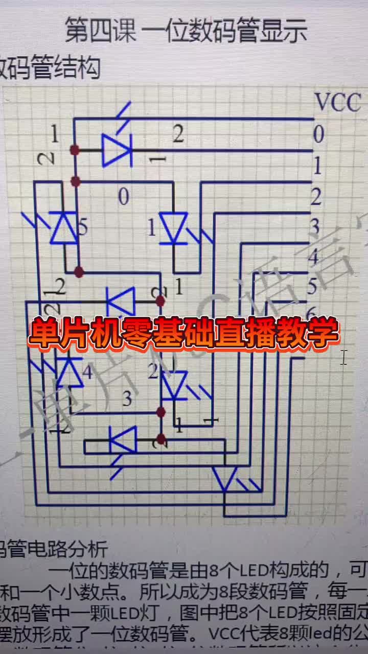 单片机驱动数码管！！ #硬声创作季 