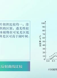 #硬聲創(chuàng)作季 #環(huán)境監(jiān)測(cè) 環(huán)境監(jiān)測(cè)-11.09.01 植被遙感視頻-2