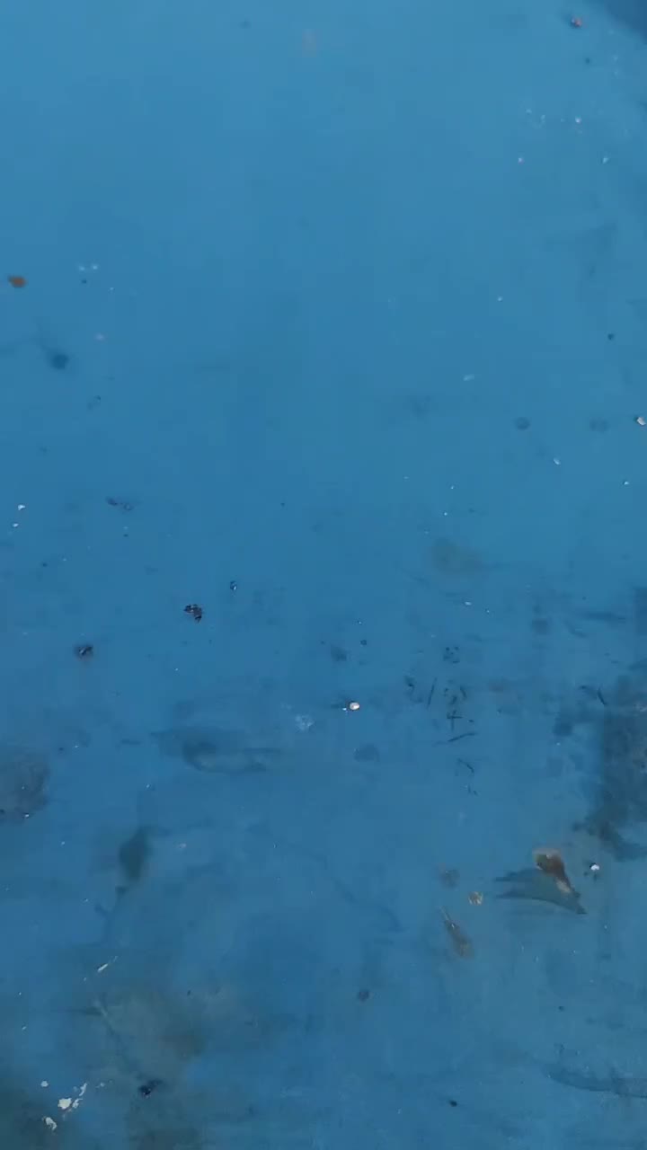 料理機拿來的時候和我說不轉了，我拆開看了看都挺好，猜測應該是使用過熱保護了#料理機 #硬聲創作季 