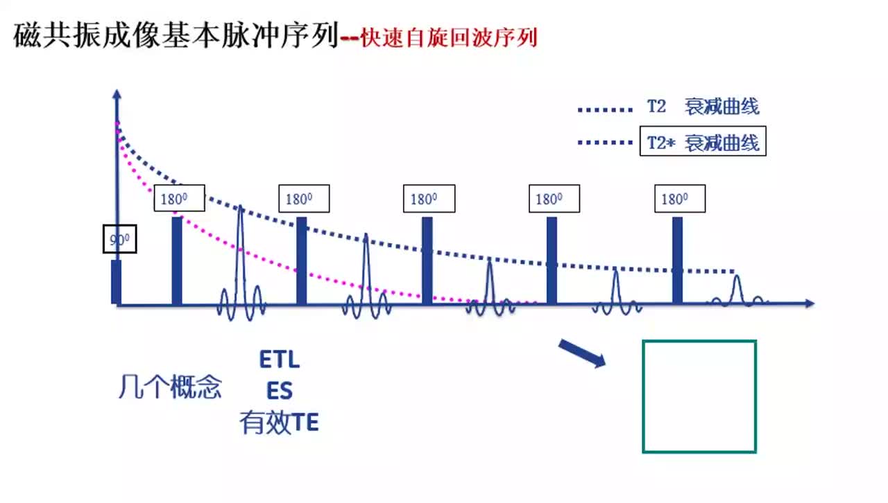 #硬声创作季 #磁共振 磁共振成像原理与威廉希尔官方网站
-017磁共振成像基本脉冲序列-快速自旋回波序列