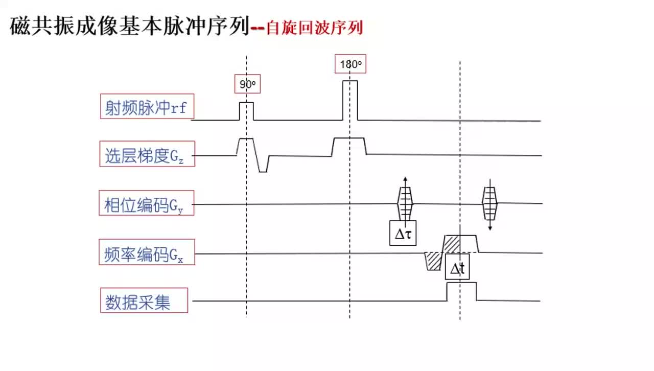 #硬声创作季 #磁共振 磁共振成像原理与技术-016磁共振成像基本脉冲序列-自旋回波序列