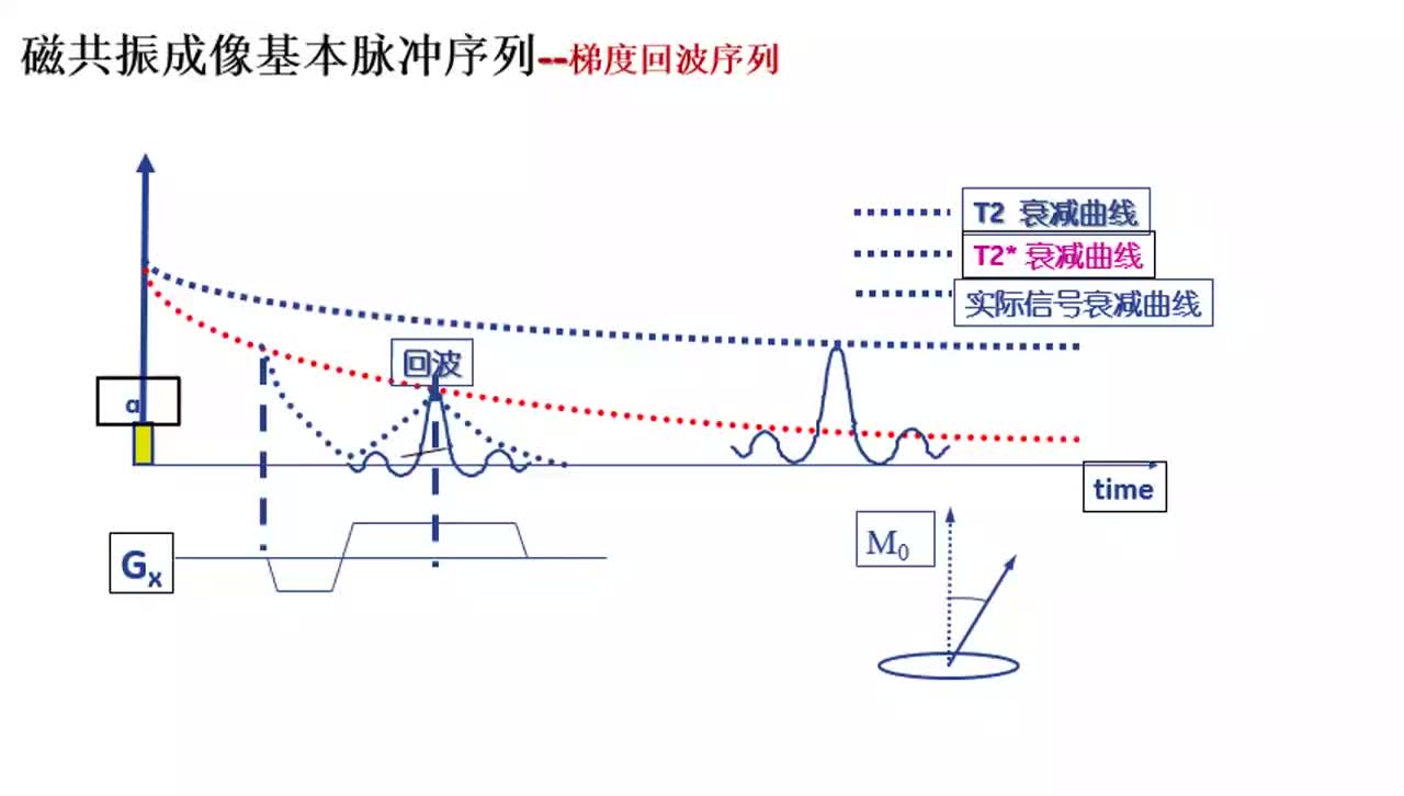 #硬声创作季 #磁共振 磁共振成像原理与技术-018磁共振成像基本脉冲序列-梯度回波序列