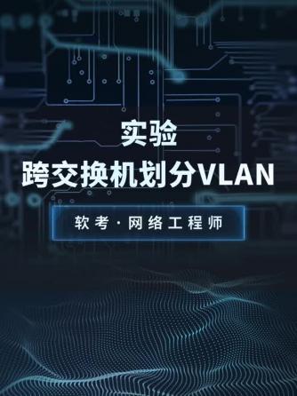 网络设备,电脑/办公,VLAN