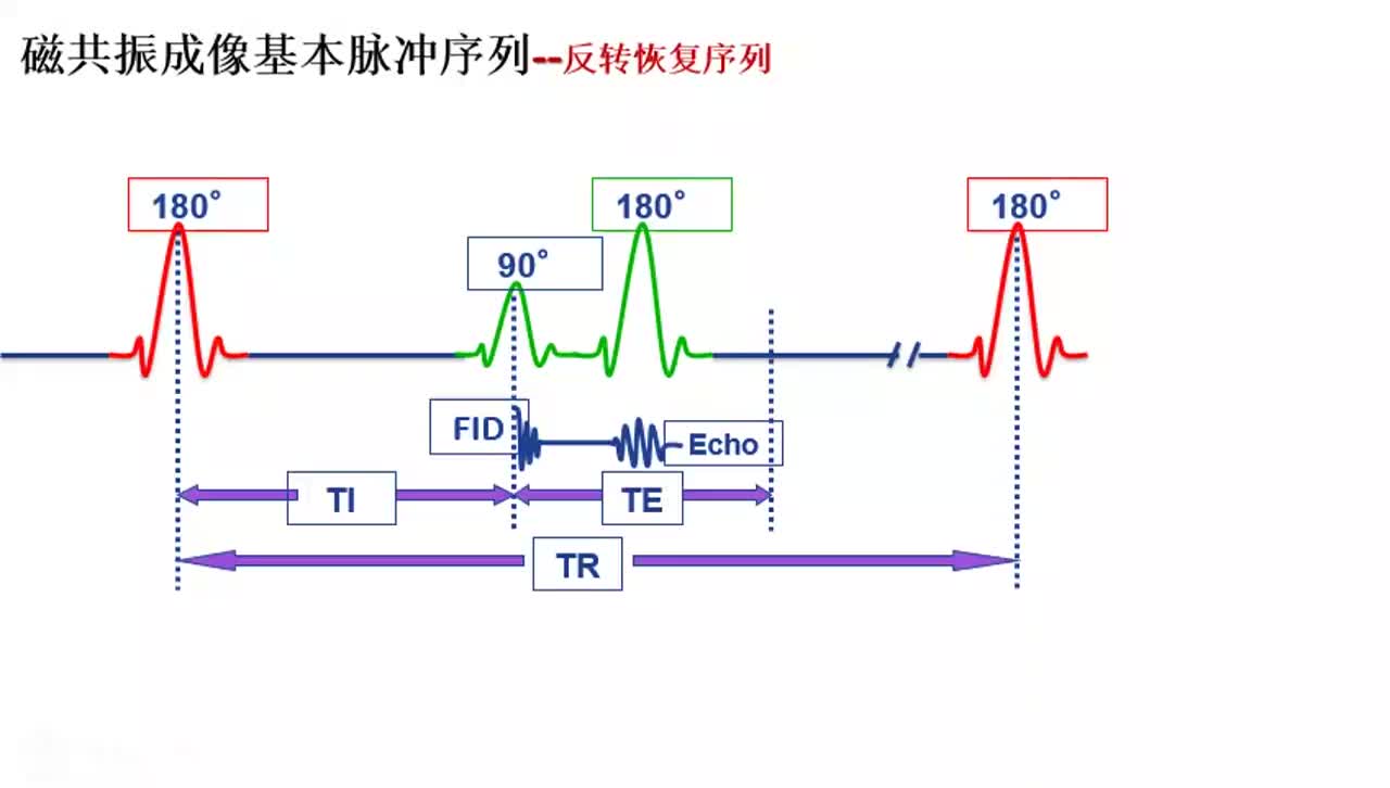 #硬声创作季 #磁共振 磁共振成像原理与技术-019磁共振成像基本脉冲序列-反转恢复序列