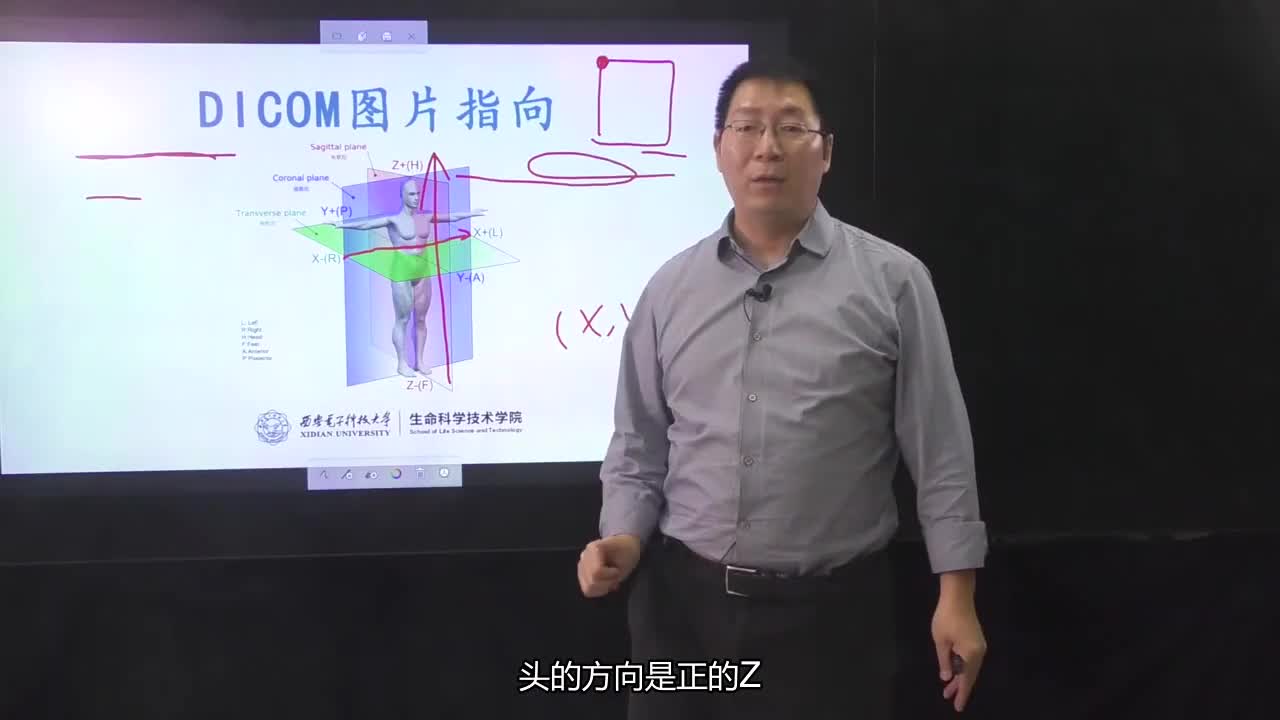 #硬声创作季 #医学成像 医学成像技术-005.DICOM图片指向-2