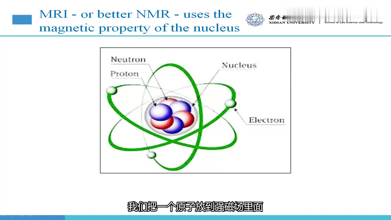 #硬声创作季 #医学成像 医学成像技术-039.核磁共振成像中的“核”-2
