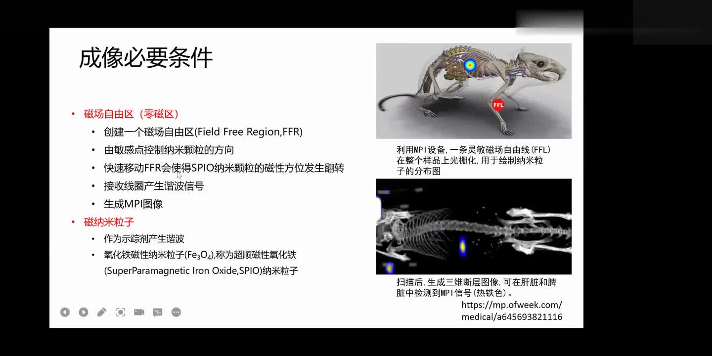 #硬聲創(chuàng)作季 #醫(yī)學(xué)成像 醫(yī)學(xué)成像技術(shù)-114.MPI-淋巴結(jié)轉(zhuǎn)移診斷與磁粒子成像MPI-4