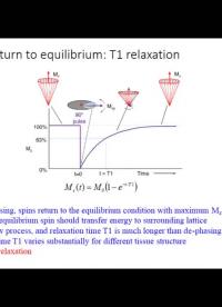 #硬声创作季 #医学成像 医学成像技术-136.衰减与弛豫-介绍-5