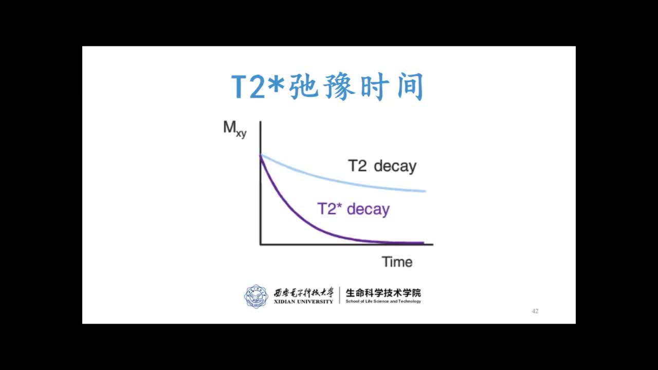 #硬聲創(chuàng)作季 #醫(yī)學成像 醫(yī)學成像技術(shù)-136.衰減與弛豫-介紹-4