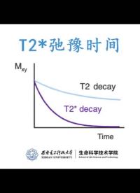 #硬聲創作季 #醫學成像 醫學成像技術-136.衰減與弛豫-介紹-4