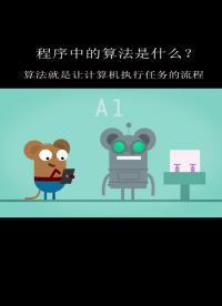 程序中的算法是什么？#算法 #編程 
