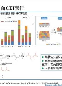 #硬聲創作季 #鋰離子電池 鋰離子電池-鋰離子電池正極材料失效分析-4