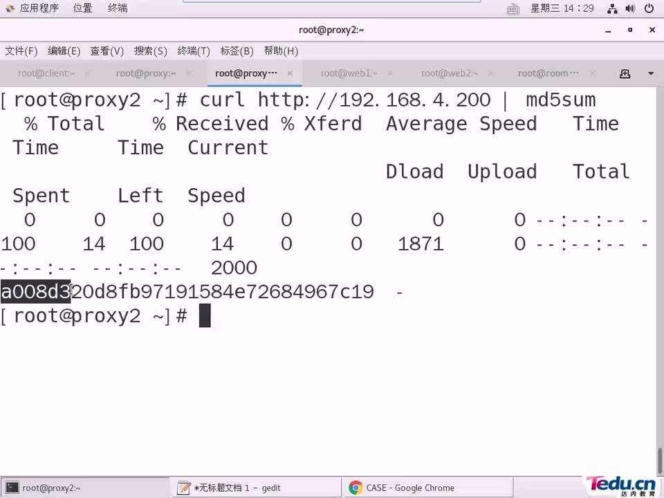 #硬聲創作季 #云計算 云計算-602.07 集群與存儲-lvs+keepalived03-1