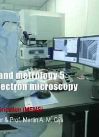 #半导体制造工艺 扫描电子显微镜