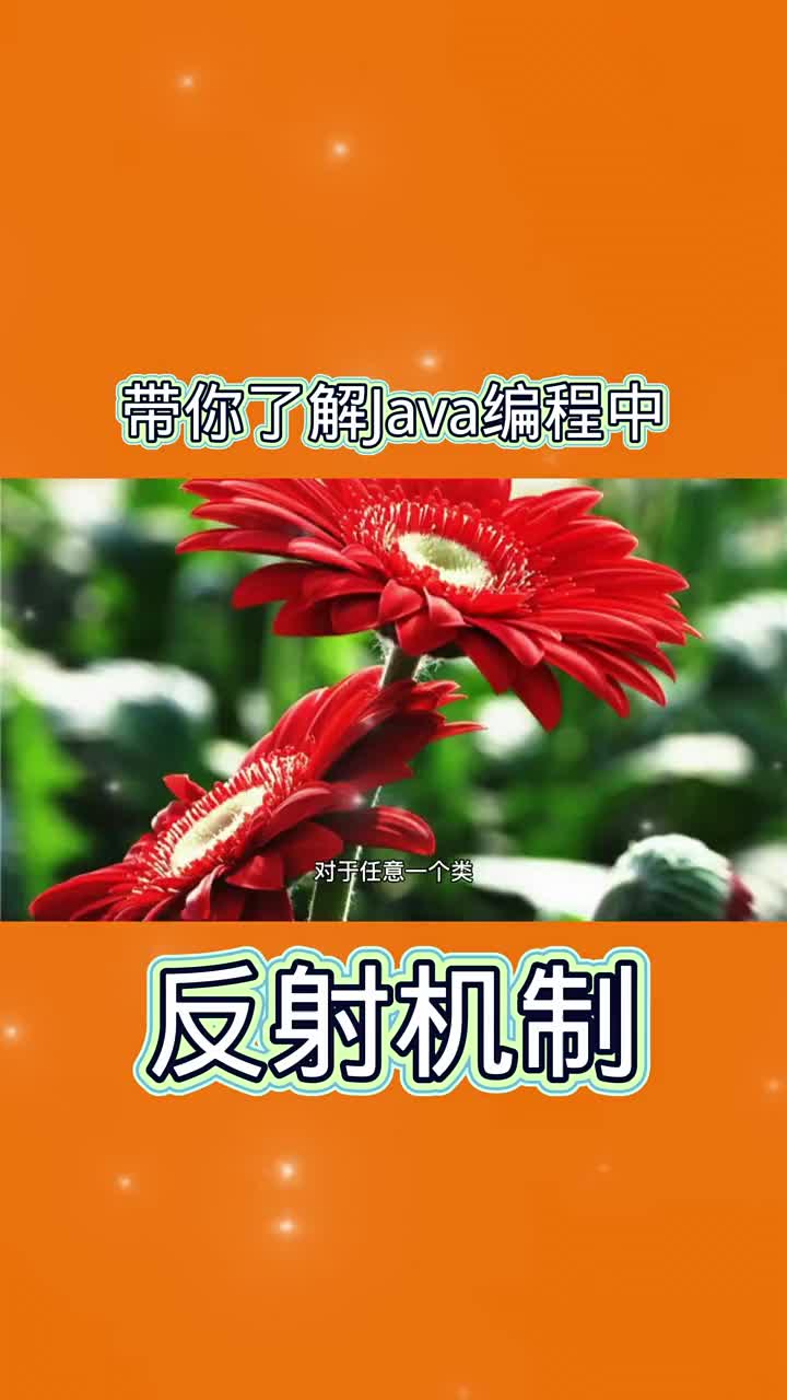 帶你了解java編程中的反射機制 #國慶  #21天教育打開  #程序員#硬聲創(chuàng)作季 