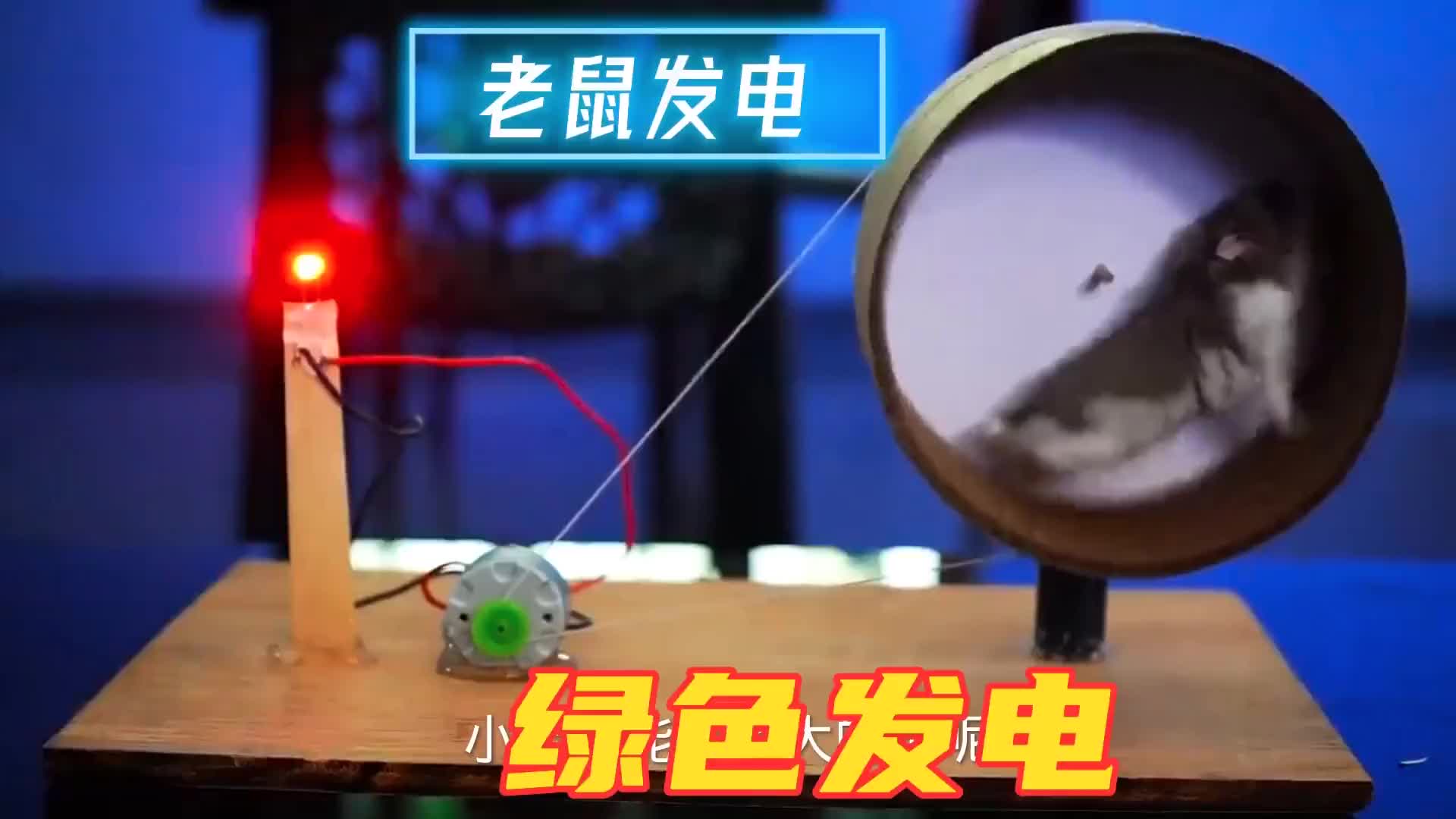 #硬聲創(chuàng)作季  老鼠也可以發(fā)電，輕松點亮燈泡