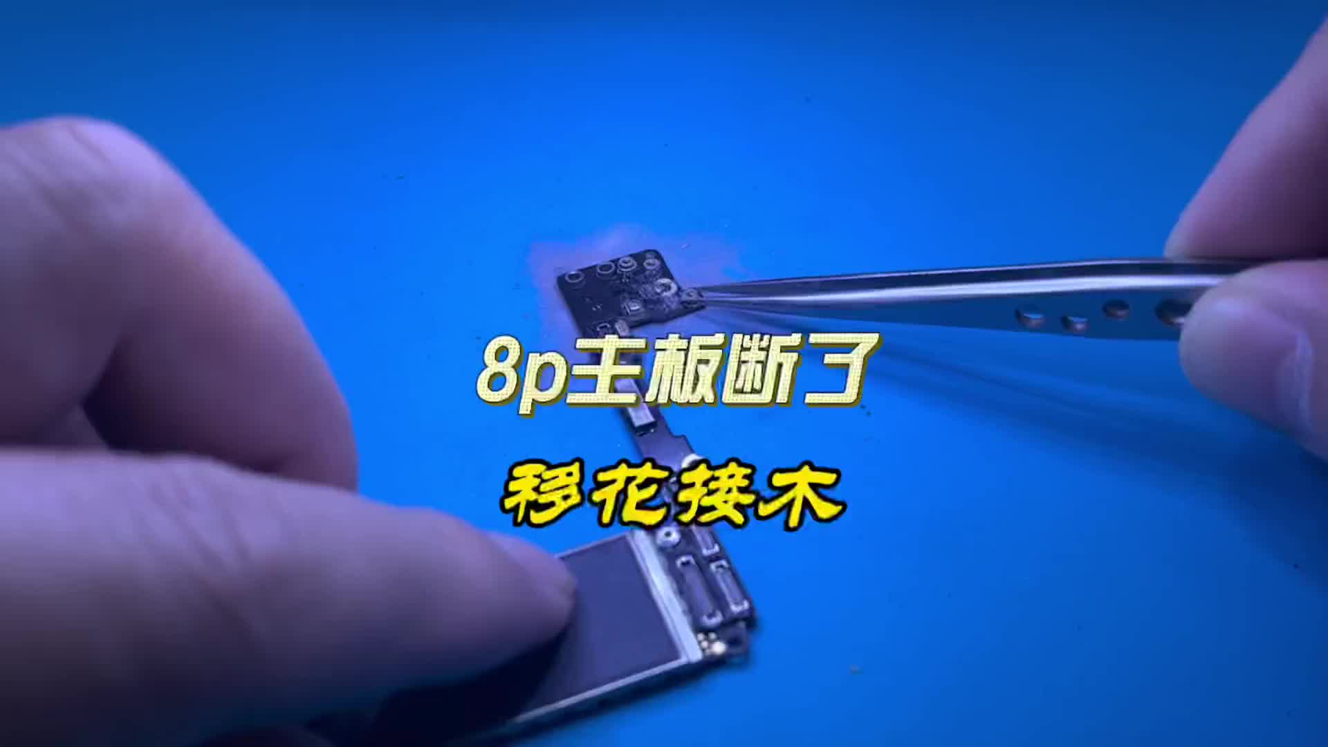 #手機維修  蘋果8plus花300塊回收， 主板斷了一截，手機搜索不到無線如何維修