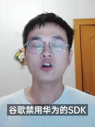 操作系统,谷歌,SDK,鸿蒙,SD