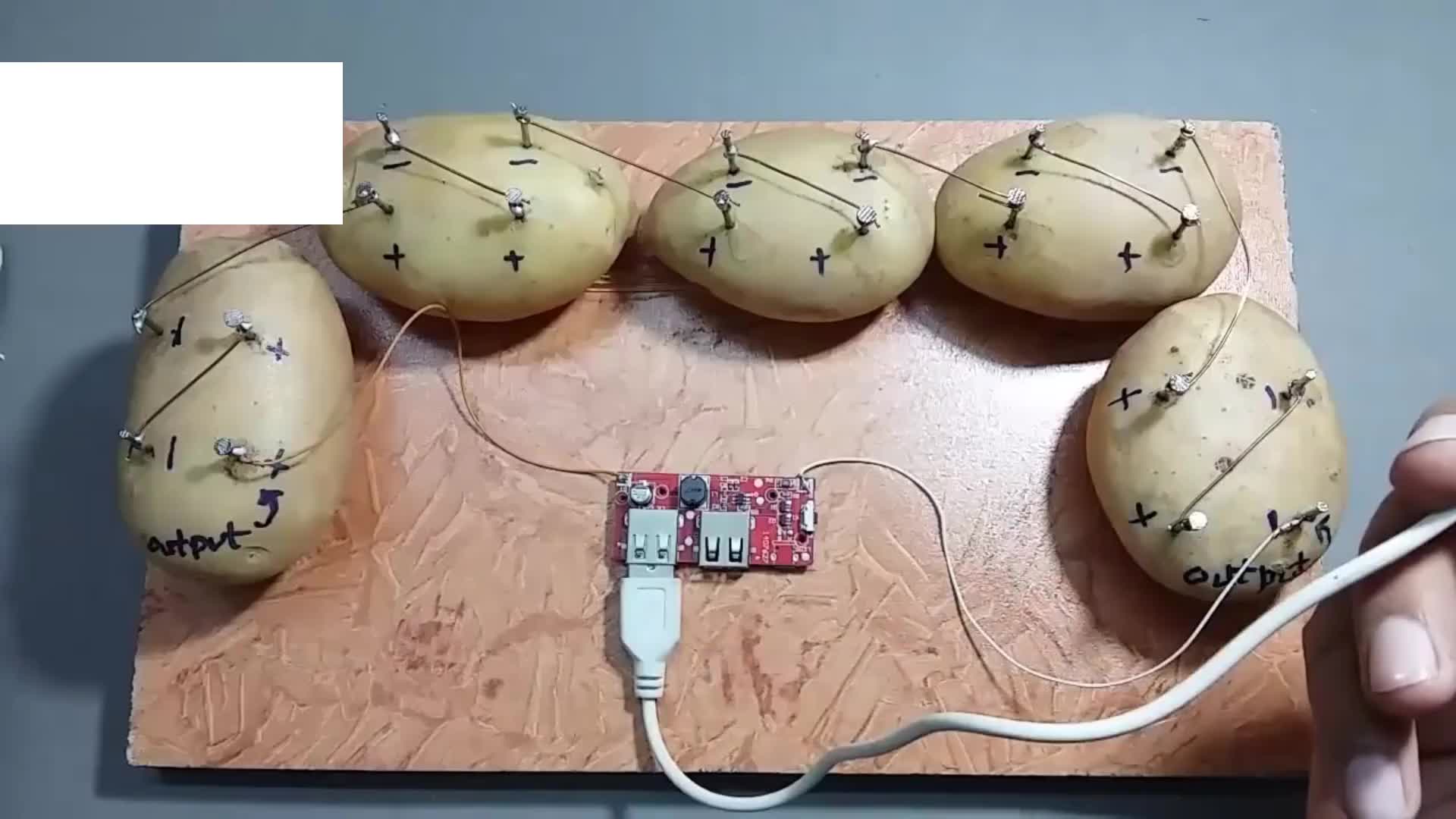 #硬聲創(chuàng)作季  轟動一時的手工大揭秘！小伙用土豆制作充電器，這技術(shù)讓人驚嘆！
