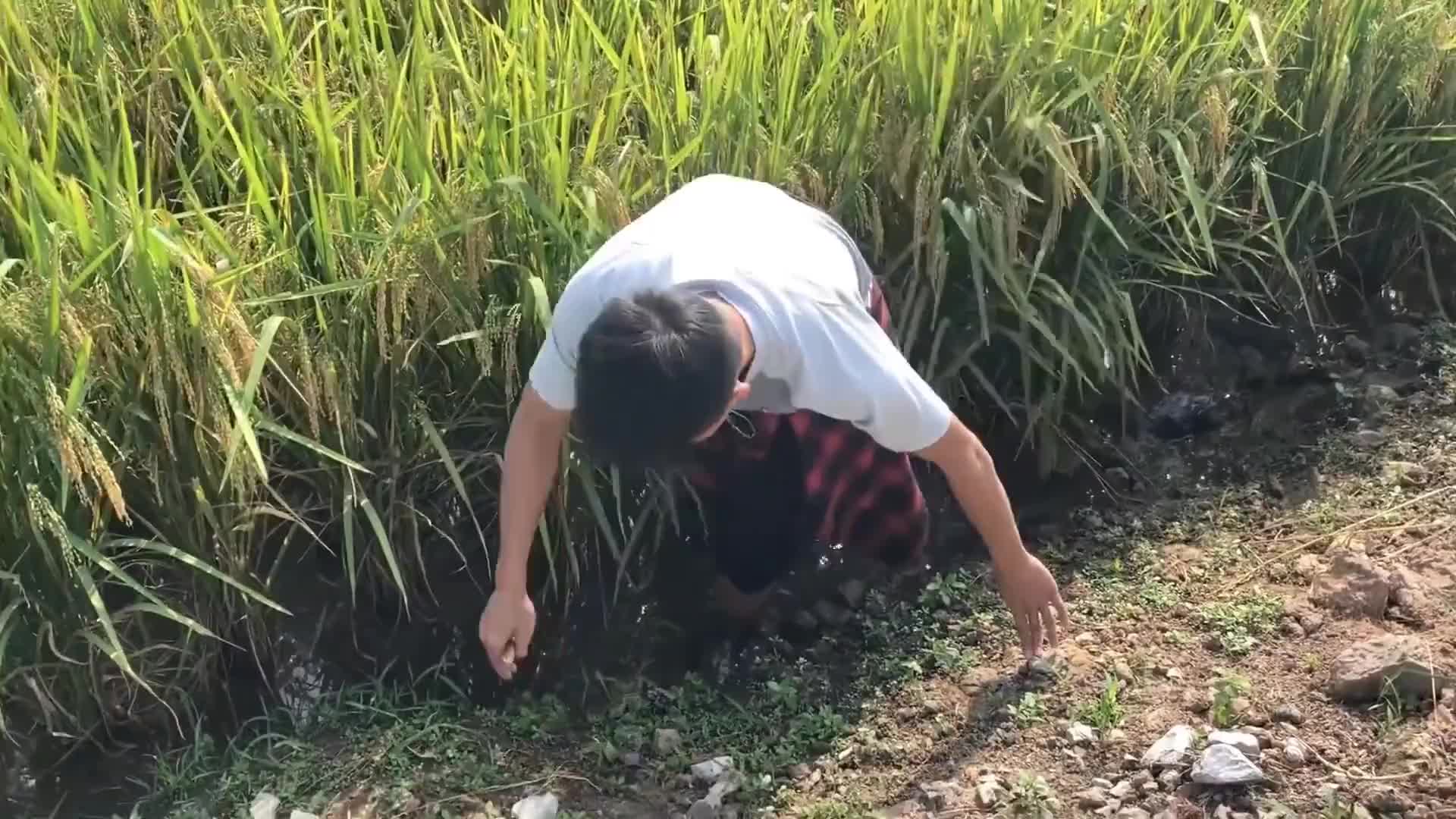 #硬聲創(chuàng)作季  在河邊撿到一塊黃金包漿的打火機(jī)！鄰居出一萬(wàn)我都不賣(mài)，拆卸就賺