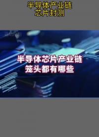 半導(dǎo)體產(chǎn)業(yè)鏈龍頭都有哪些？#芯片 #半導(dǎo)體 #半導(dǎo)體設(shè)備 #晶圓制造過程 #硬聲創(chuàng)作季 