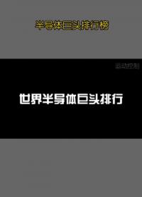 半導(dǎo)體巨頭都有哪些？#半導(dǎo)體 #芯片 #晶圓制造過程#科技 #智能制造 #硬聲創(chuàng)作季 