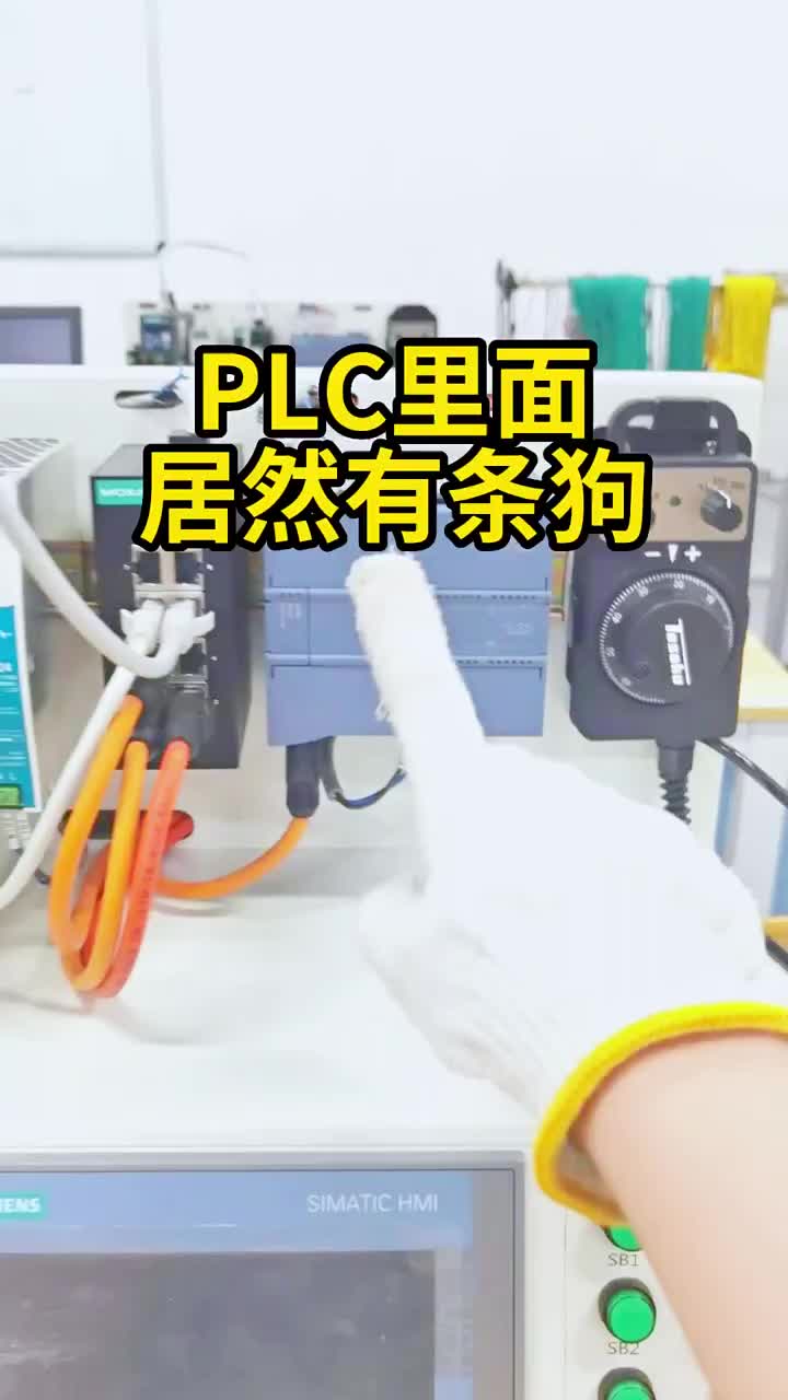 PLC里面居然有狗！你知道它嗎?#plc?#自動(dòng)化技術(shù)#制造業(yè)??#硬聲創(chuàng)作季 