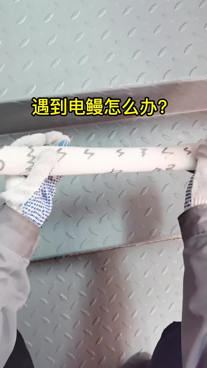遇到電鰻不要怕，像我這樣做！#科普  #漲知識(shí)  #搞笑 ?#硬聲創(chuàng)作季 