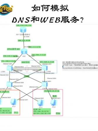 网络技术,Web,DNS