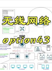 无线网络option43#无线 #网络工程师#硬声创作季 