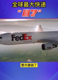 全球最大快遞“崩了”！影響竟然這么大！#物流工程 