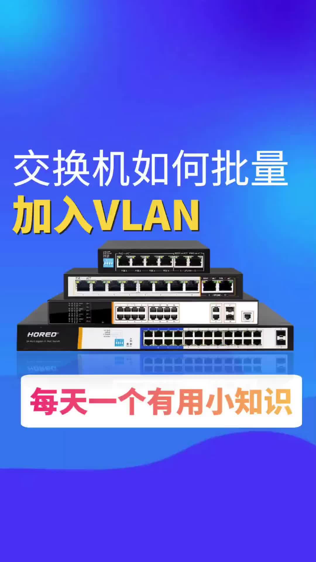 #VLAN #交换机 _干货分享：交换机如何批量加入VLAN.