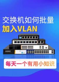 #VLAN #交換機(jī) _干貨分享：交換機(jī)如何批量加入VLAN.