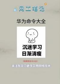 #網(wǎng)絡 #網(wǎng)絡工程師 #華為網(wǎng)絡工程師 華為命令大全#硬聲創(chuàng)作季 