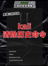 kali怎么清除历史命令  #黑客  #网络安全  #程序员 #硬声创作季 