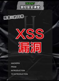 xss漏洞 #黑客  #网络安全  #渗透 #硬声创作季 