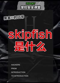 skipfish是什么？?#黑客??#網絡安全??#程序員?#硬聲創作季 