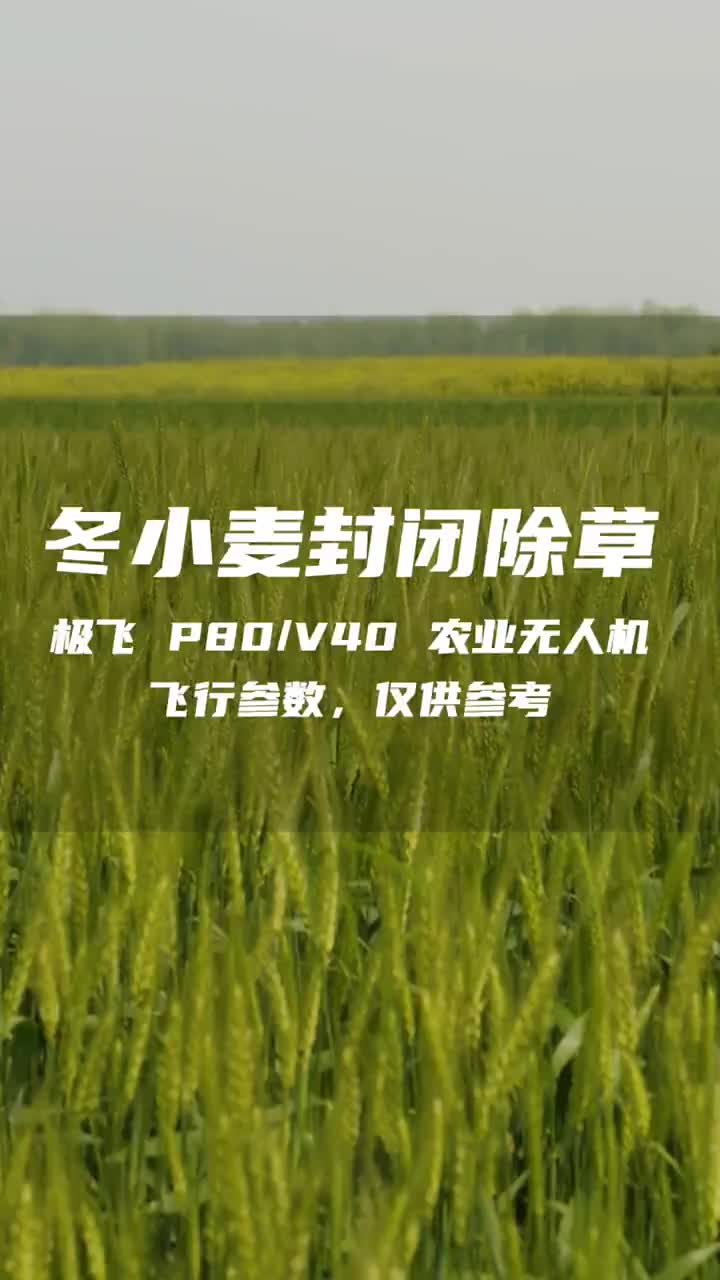 10秒教你學(xué)會冬小麥封閉除草飛行參數(shù)。#極飛?#植保無人機(jī)?#冬小麥除草??#硬聲創(chuàng)作季 